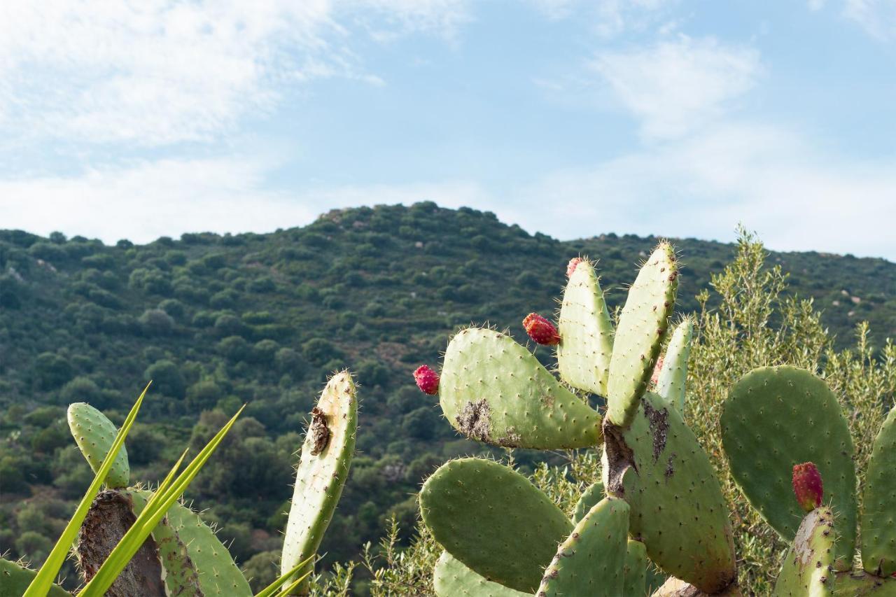 Bed & Breakfast Sa Guardia De Ferricci